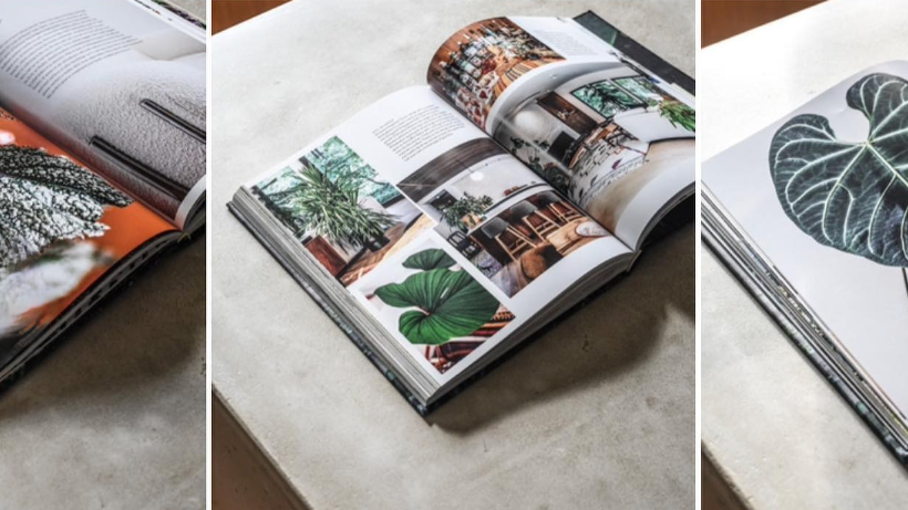 Pictures of the book Living Wild by Hilton Carter