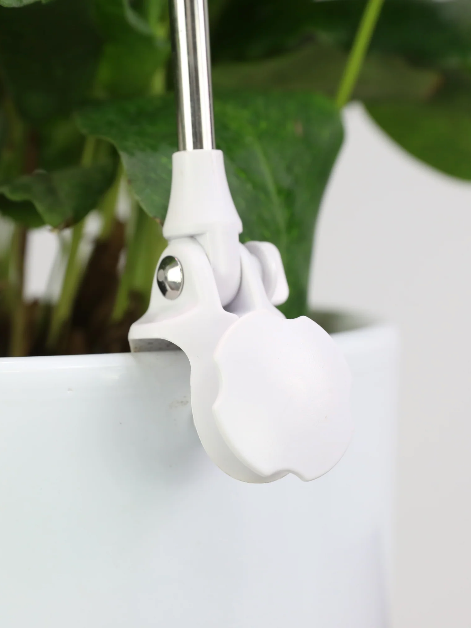 Mossify LED Grow Lamp (Multiple Colours)