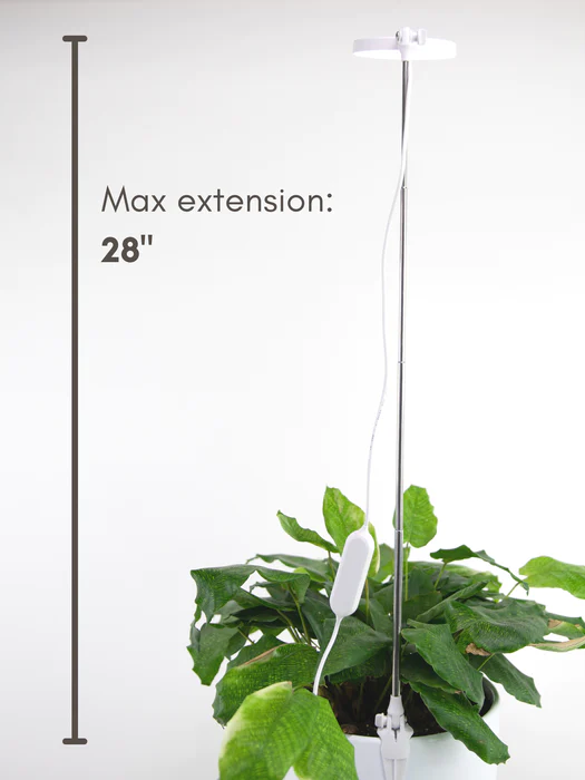 Mossify LED Grow Lamp (Multiple Colours)