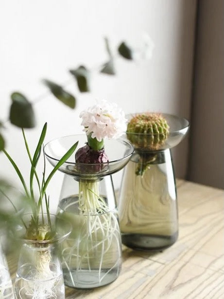 Kinto Aqua Culture Propagation Vase (Multiple Sizes)
