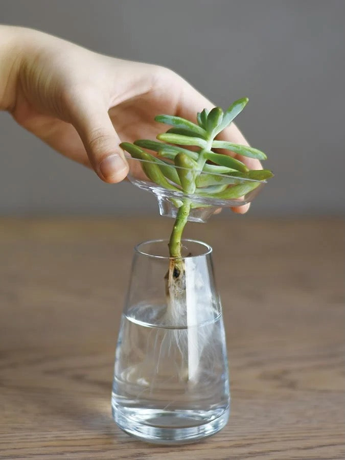 Kinto Aqua Culture Propagation Vase (Multiple Sizes)