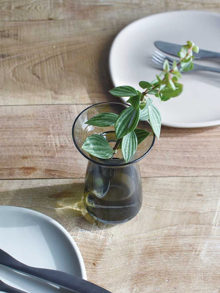 Kinto Aqua Culture Propagation Vase (Multiple Sizes)
