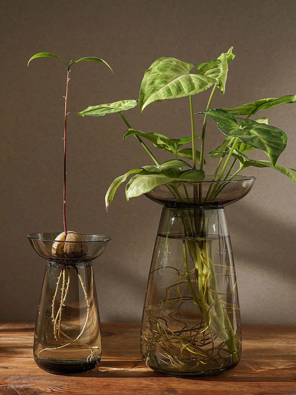Kinto Aqua Culture Propagation Vase (Multiple Sizes)