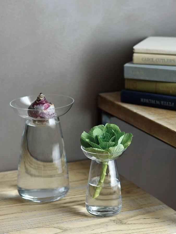 Kinto Aqua Culture Propagation Vase (Multiple Sizes)