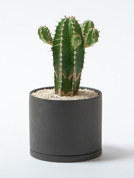 Kinto '191' Ceramic Plant Pot, Small 5"