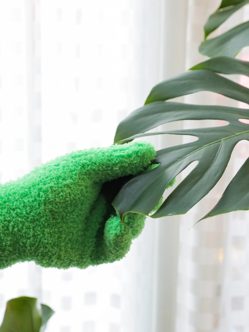 Microfibre Leaf Cleaning Gloves