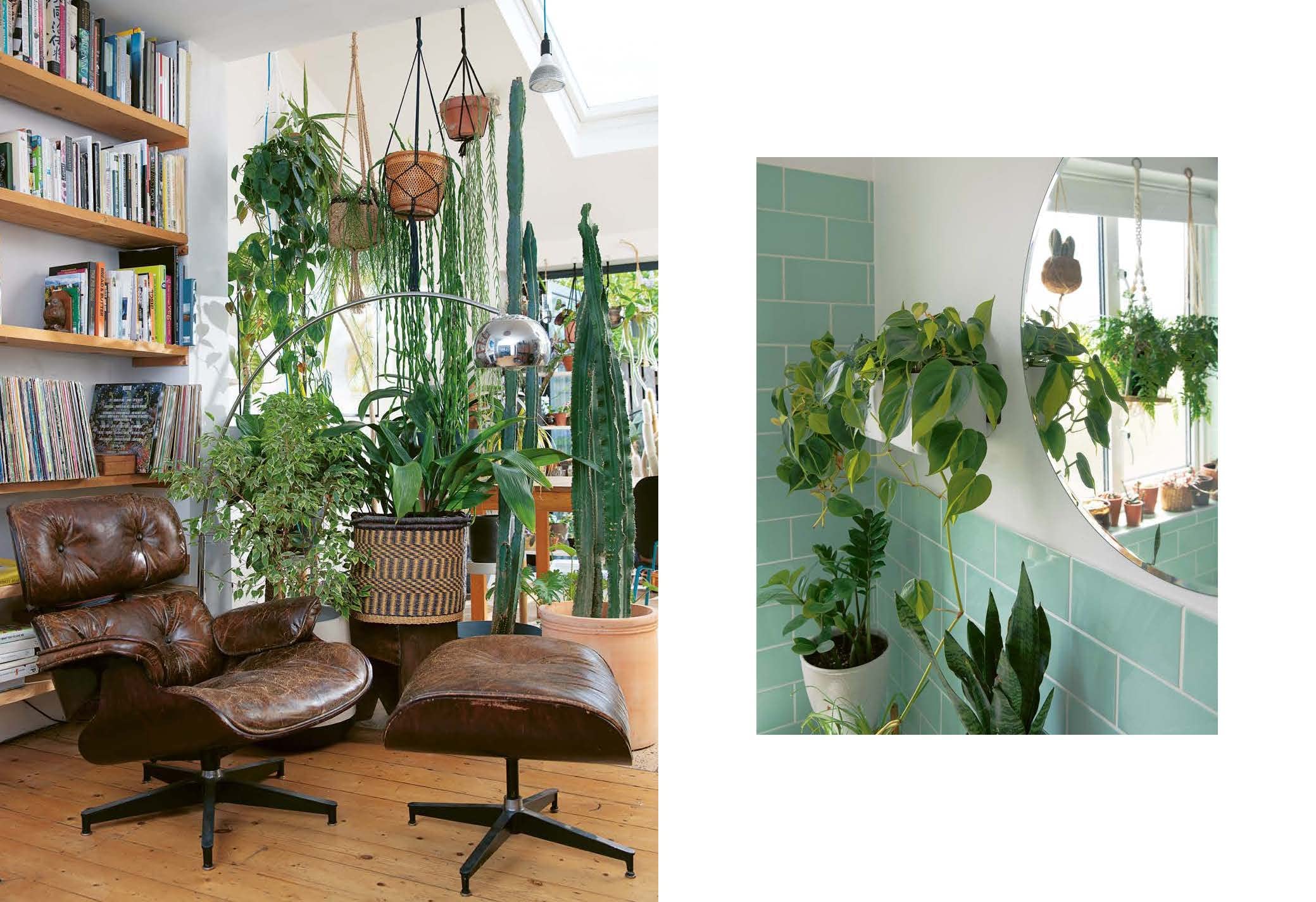 Plant Rescuer by Sarah Gerrard-Jones
