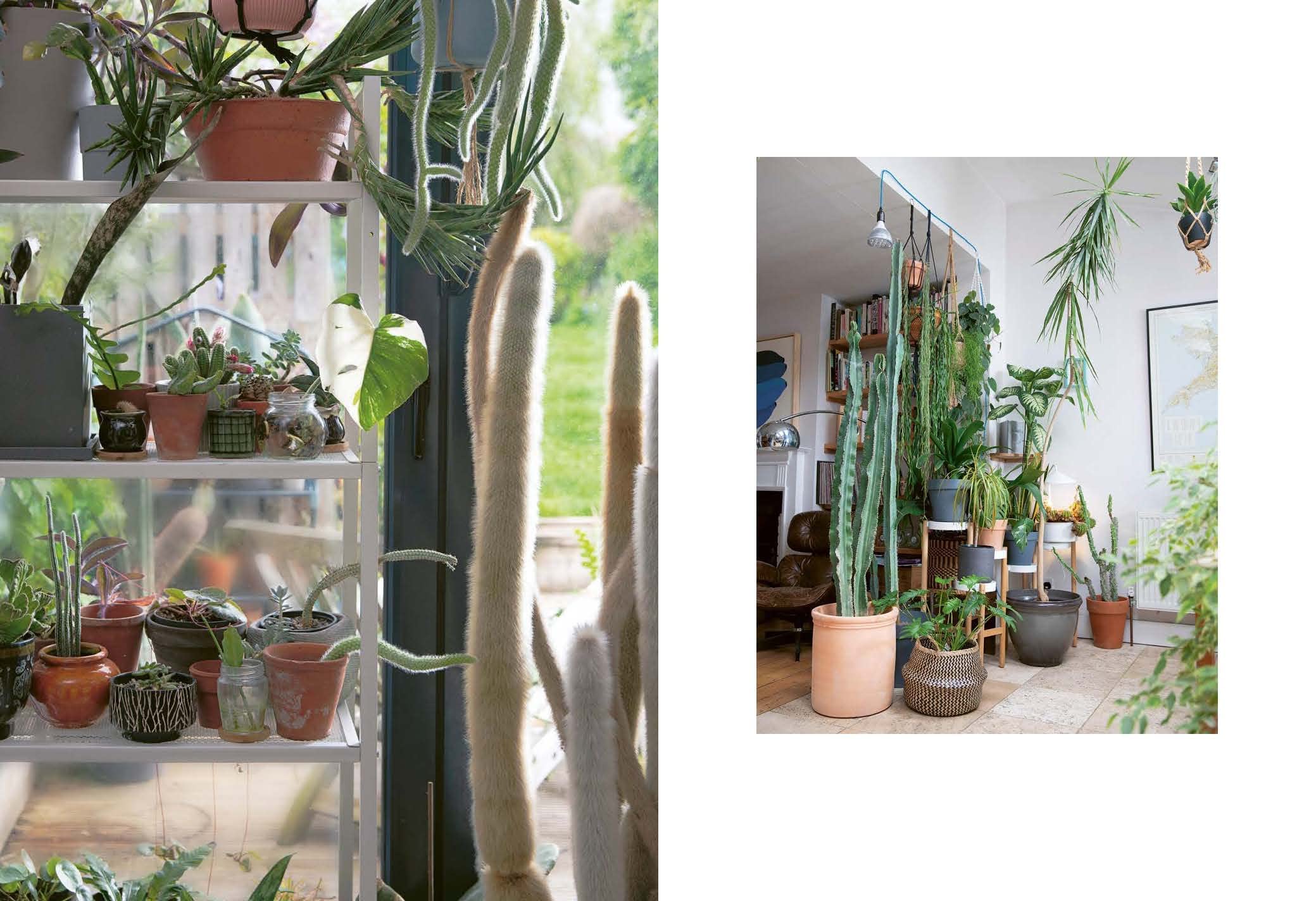 Plant Rescuer by Sarah Gerrard-Jones