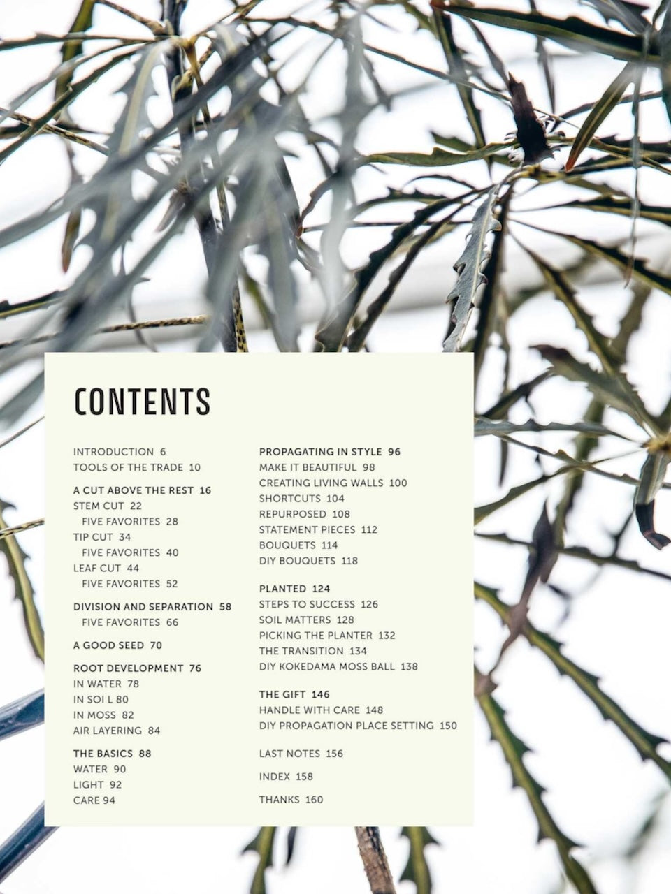 Propagation Handbook by Hilton Carter