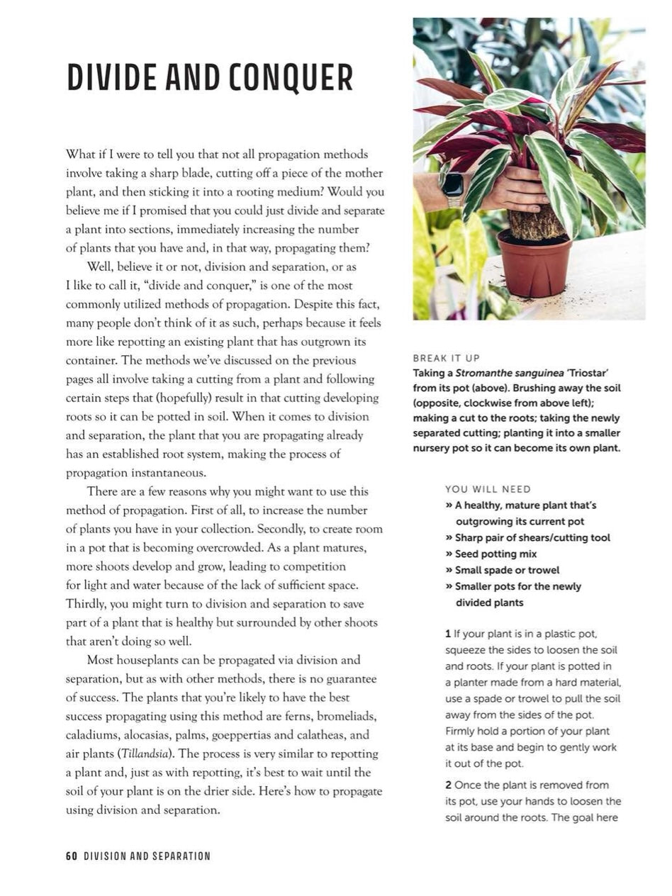 Propagation Handbook by Hilton Carter