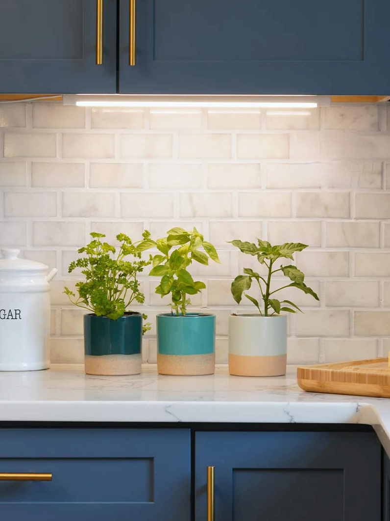 Soltech Grove LED Grow Light Bar (Multiple Colours)