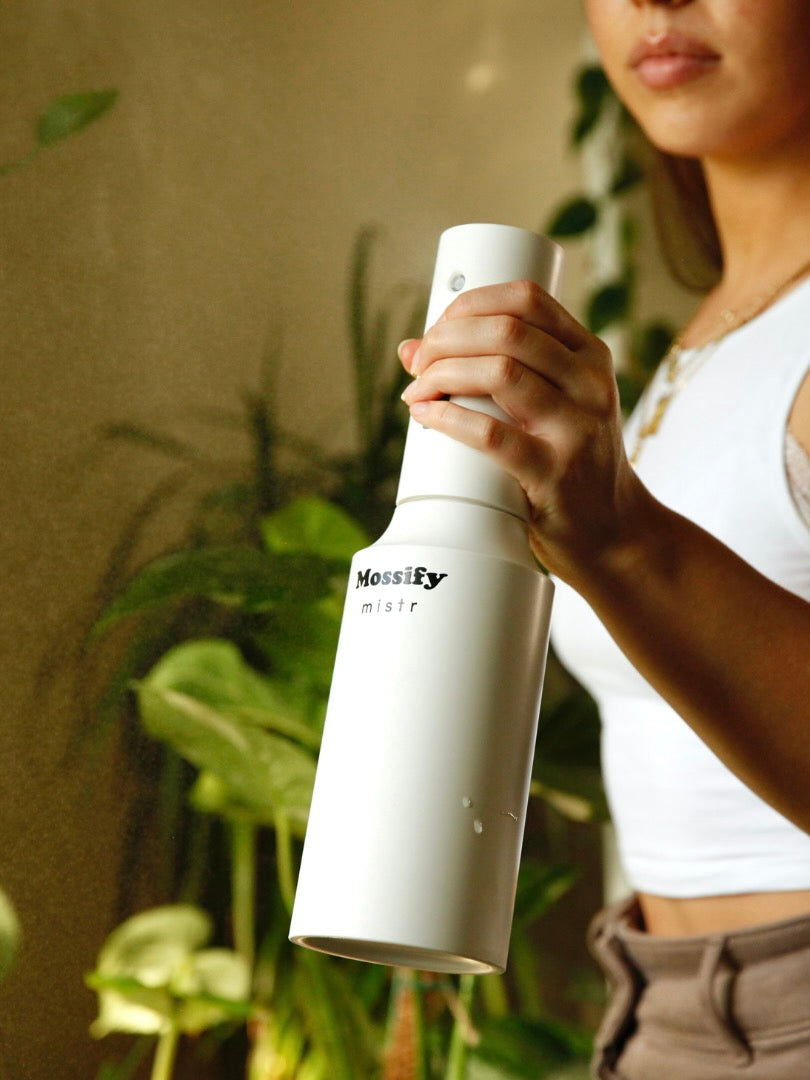 Mossify Automatic Mistr