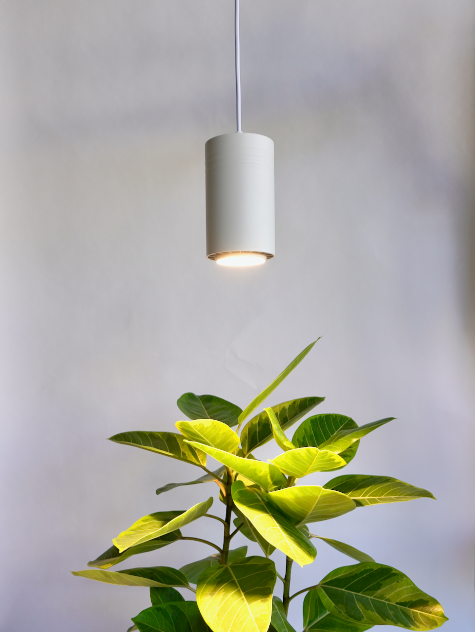 Soltech Aspect Grow Light Fixture (Multiple Colours)