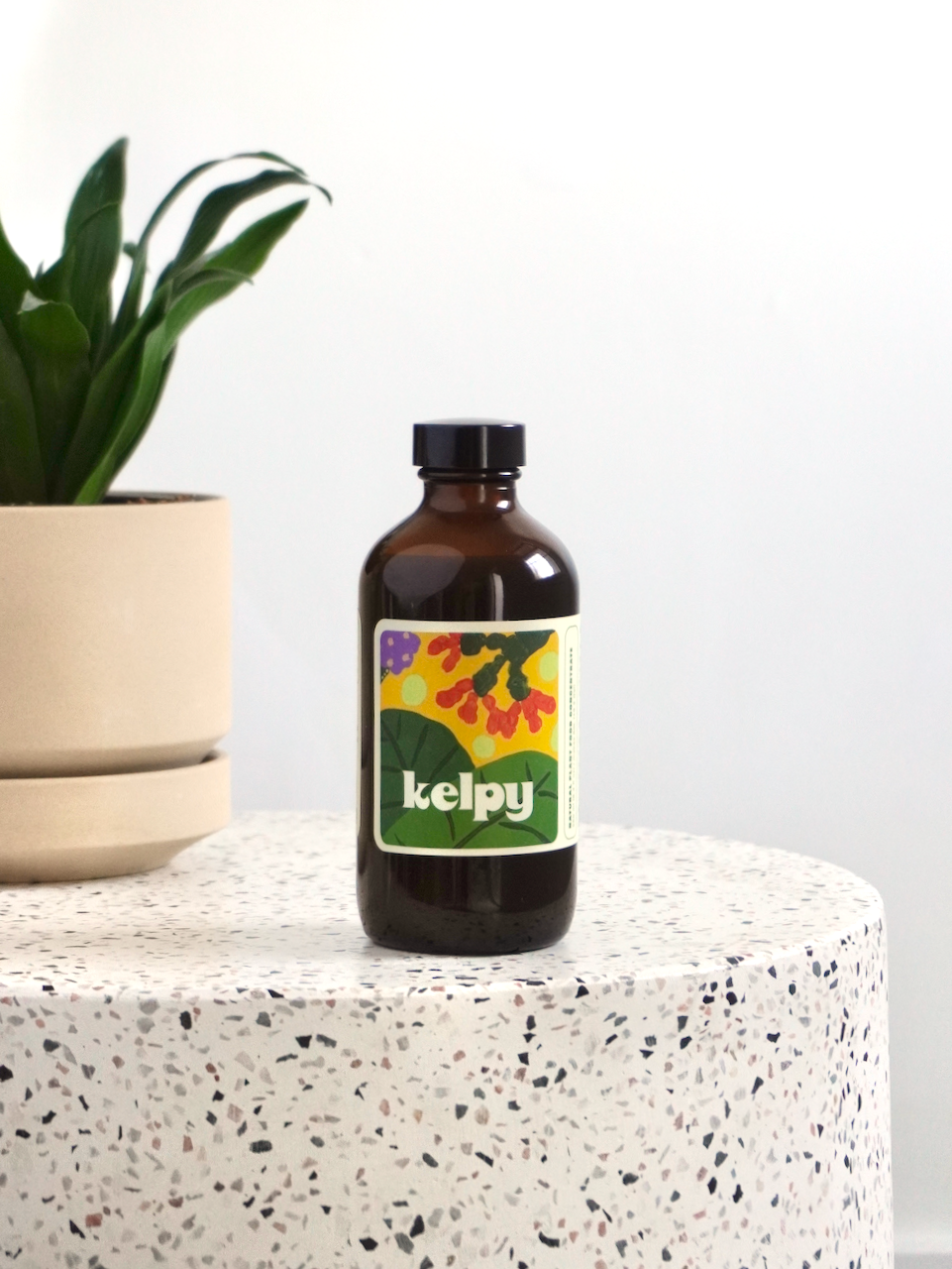 Kelpy All-Natural Plant Food (Multiple Sizes)