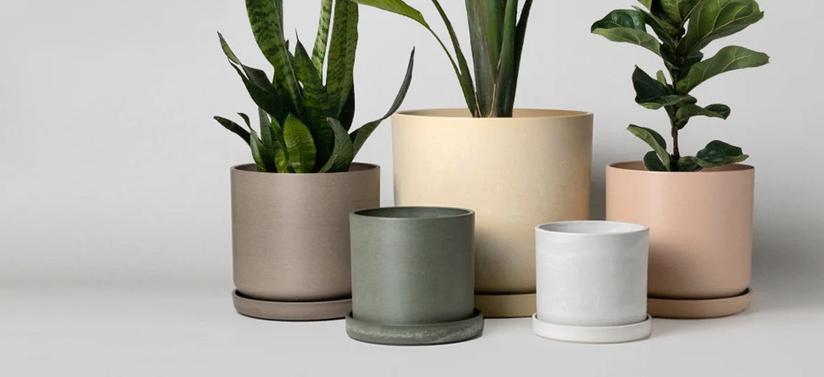 Kanso Designs