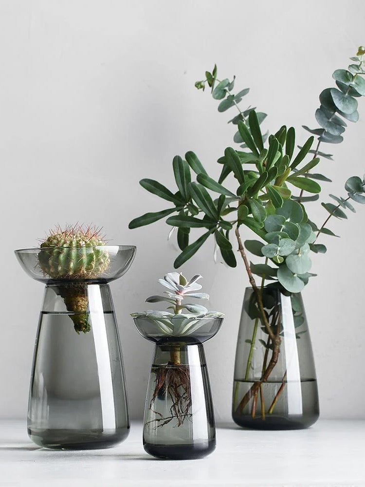 Kinto Aqua Culture Propagation Vase (Multiple Sizes)