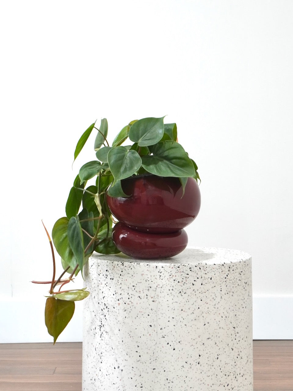 Fondra Ceramic Pot, Medium 6.5"