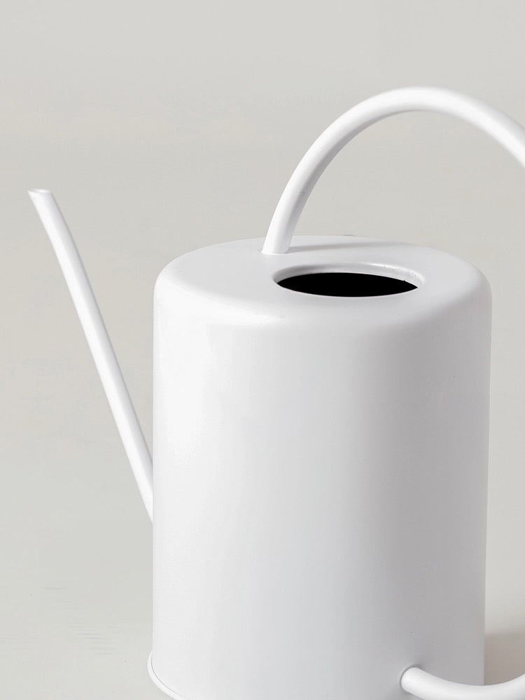 Kanso Stainless Steel Watering Can (Multiple Colours)