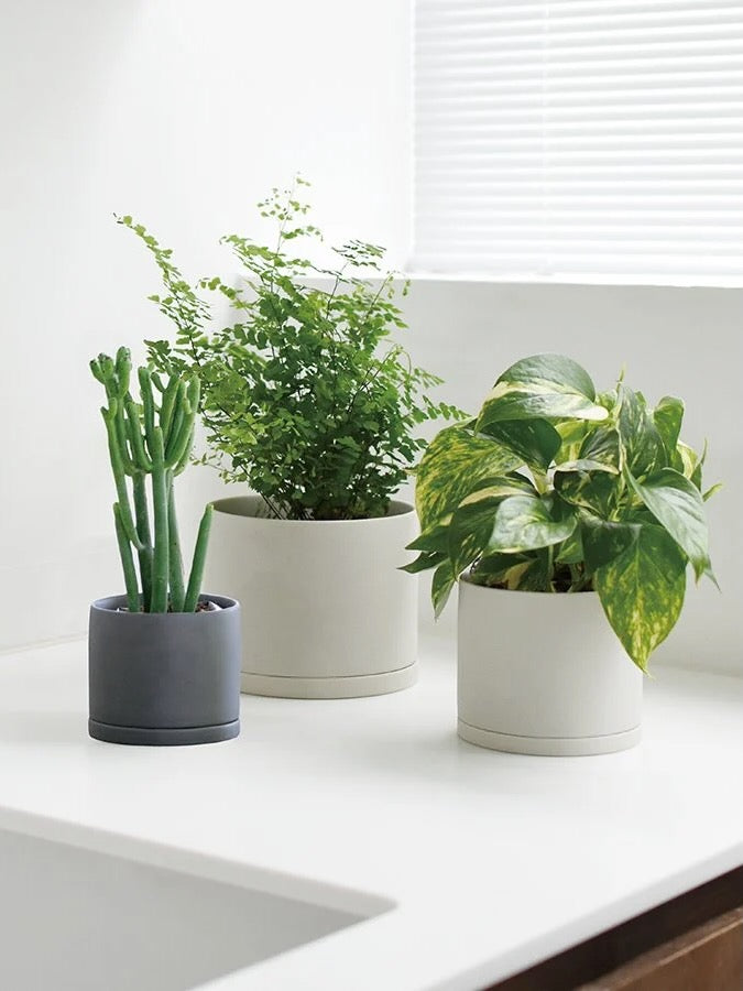 Kinto '191' Ceramic Plant Pot, Small 4"