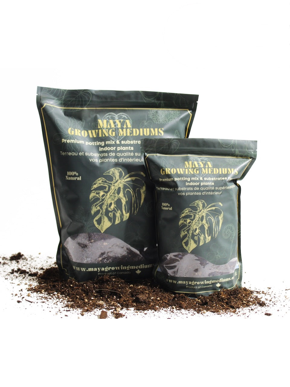 Cactus & Succulent Soil Mix