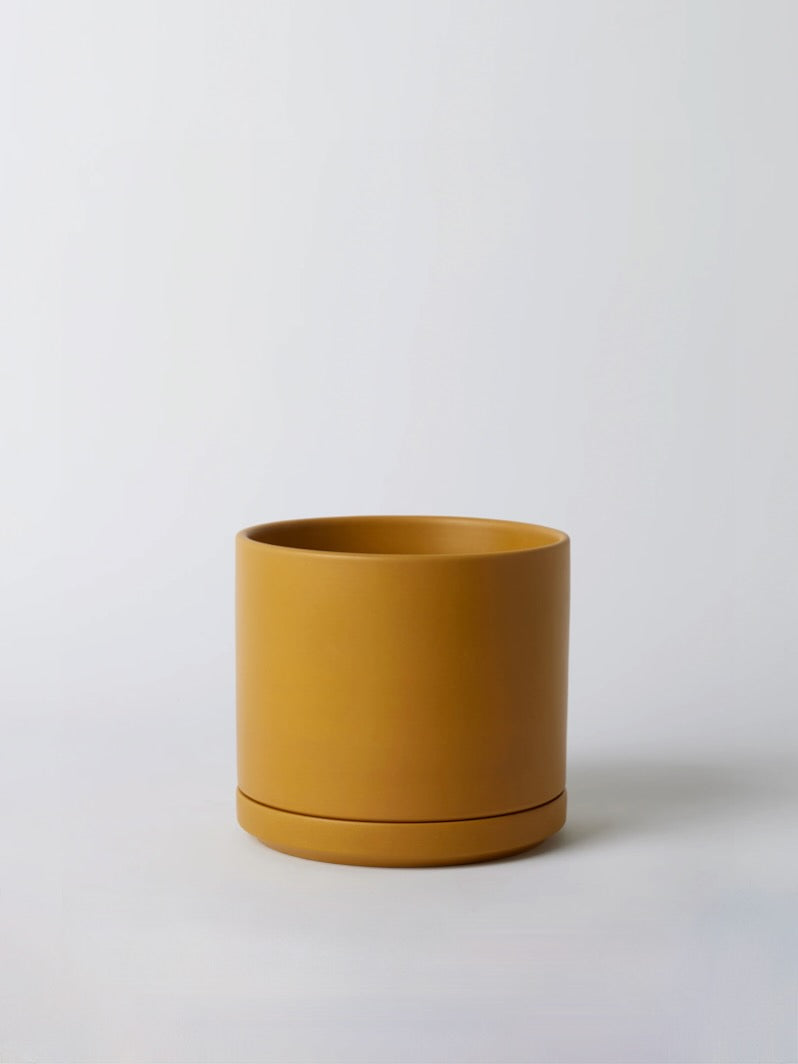 Tobago Ceramic Pot, Medium 7" (Multiple Colours)