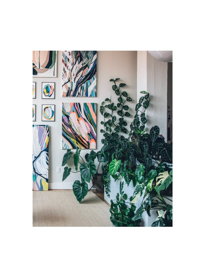 Wild Interiors by Hilton Carter