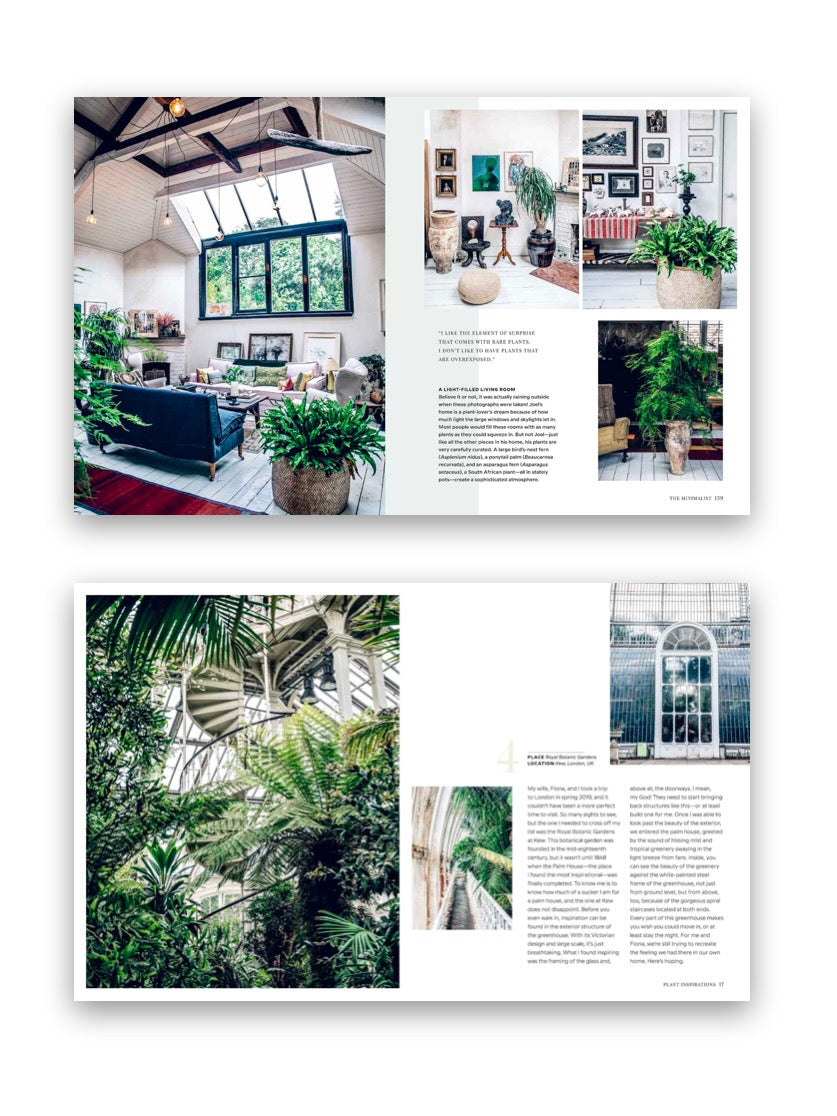 Wild Interiors by Hilton Carter