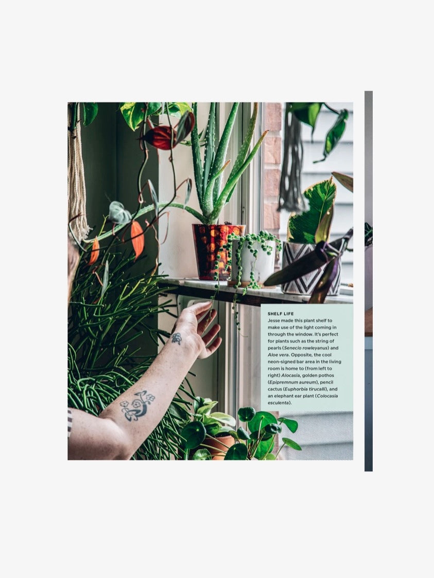 Wild Interiors by Hilton Carter