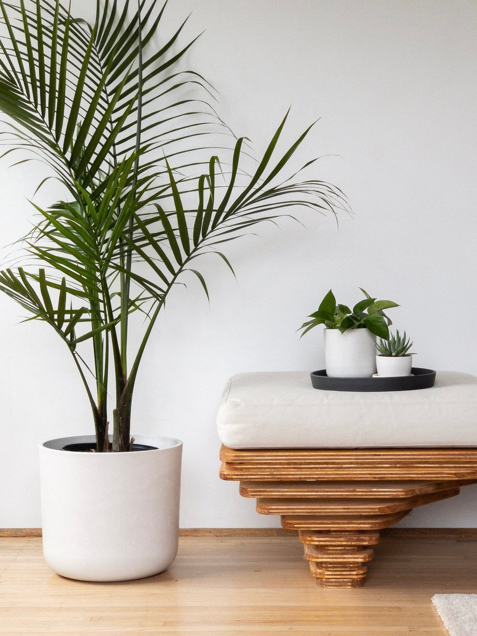 Kanso Recycled Pot, XL 12" (Multiple Colours)