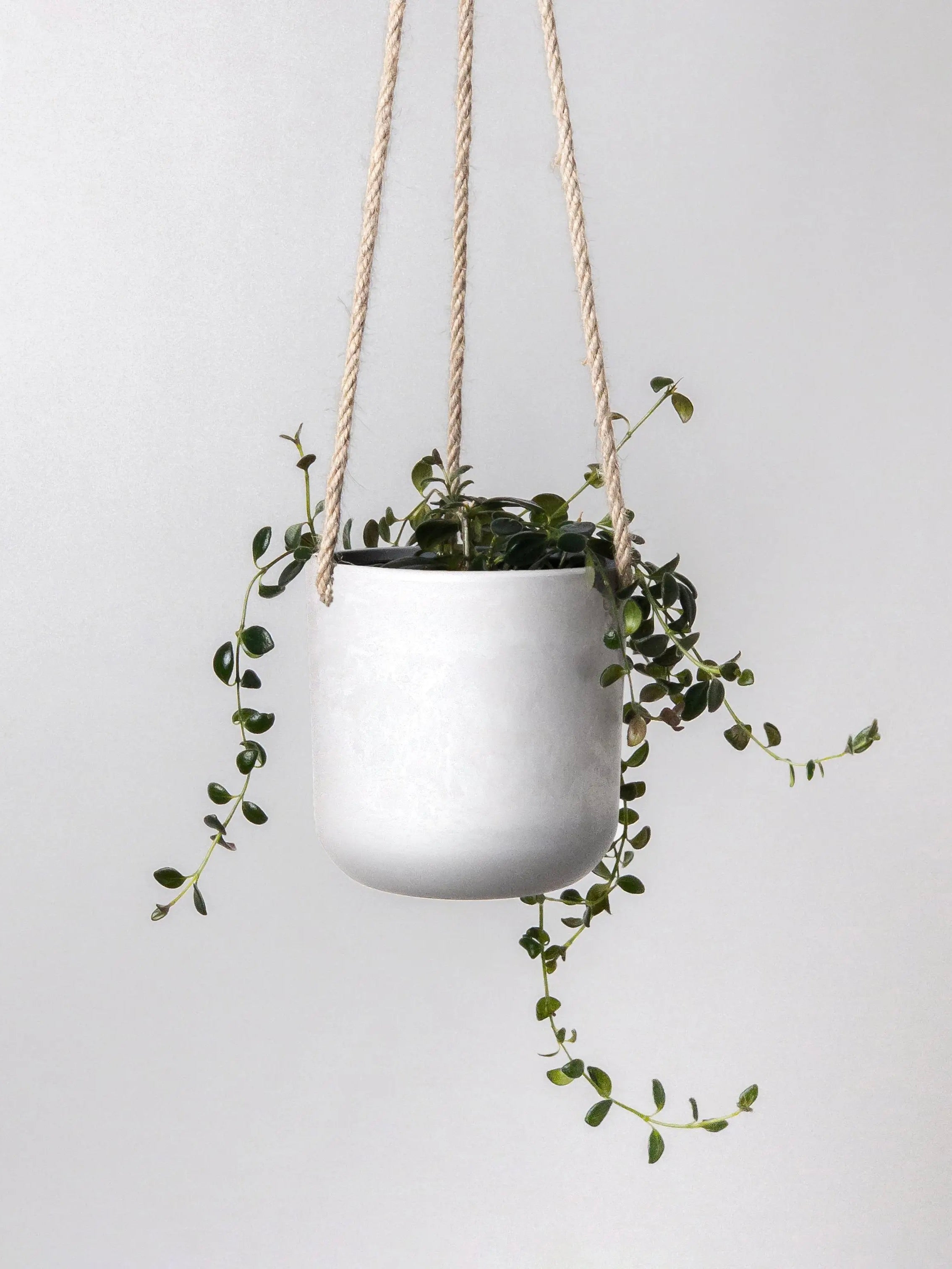 Kanso Recycled Hanging Pot, Small 4"
