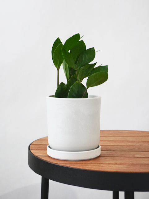 Kanso Recycled Pot, Small 4" (Multiple Colours)