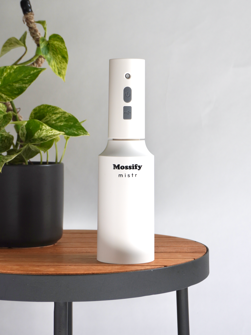 Mossify Automatic Mistr