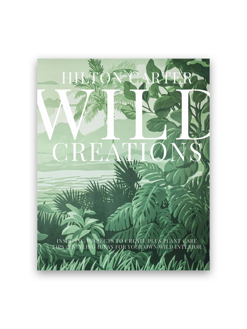 Wild Creations by Hilton Carter
